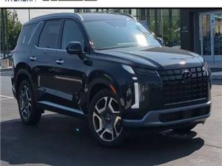 2025 Hyundai Palisade sel premium
