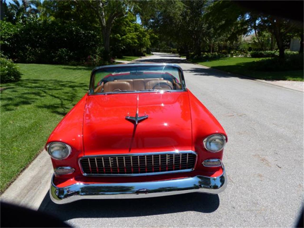 1955 chevrolet bel air