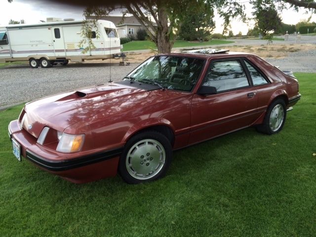 low mile, adult owned,original, unmolested damage free svo mustang