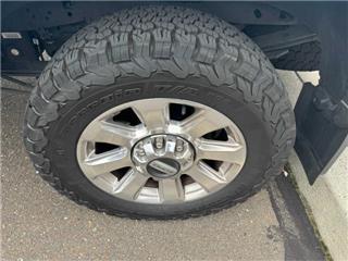 2022 Ford F-250 platinum