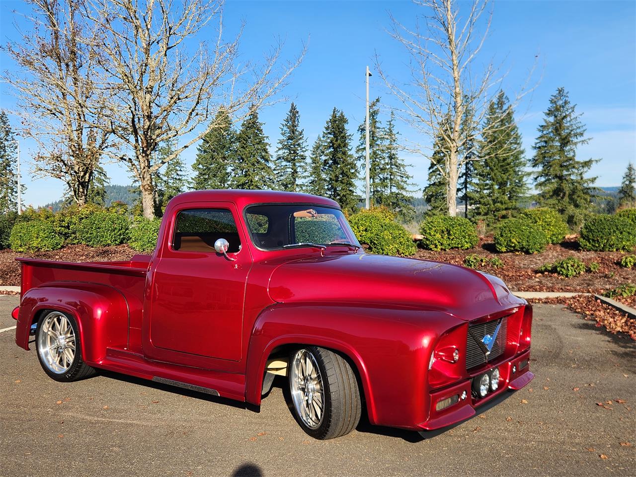 1954 ford f100