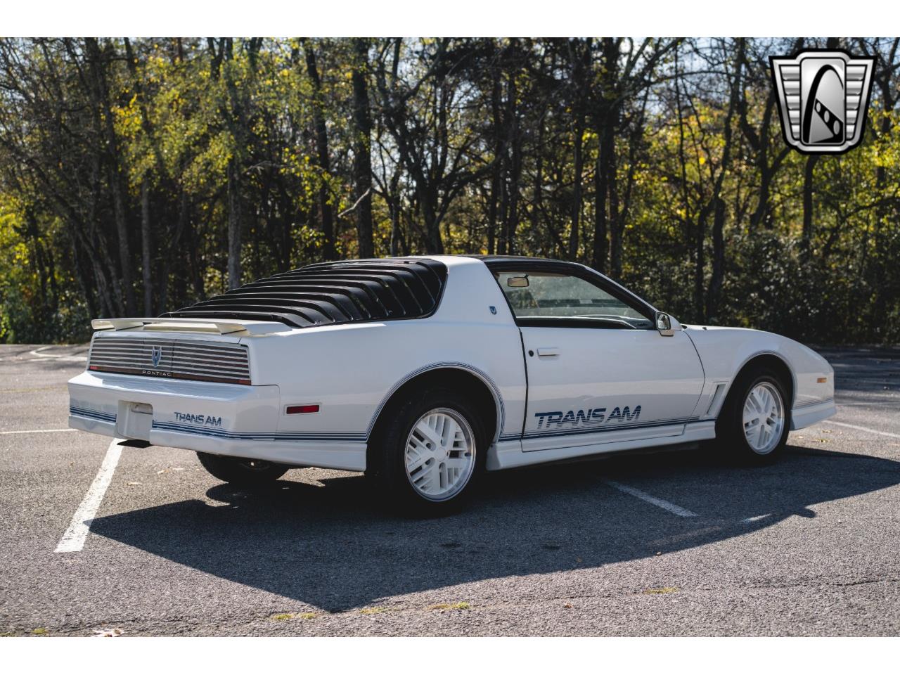 1984 pontiac firebird