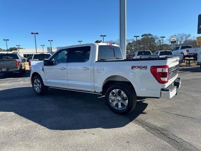 2023 ford f-150 platinum in eden isle, arkansas
