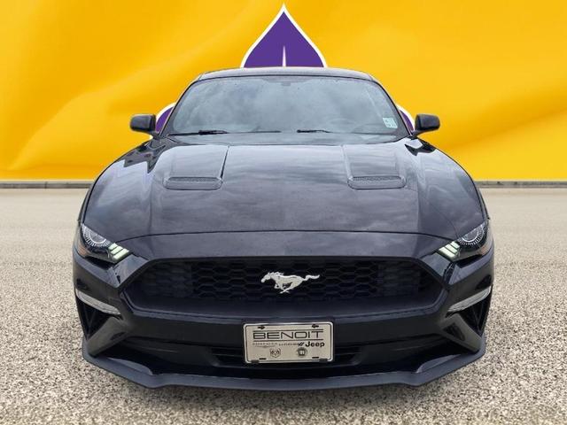 2019 ford mustang ecoboost