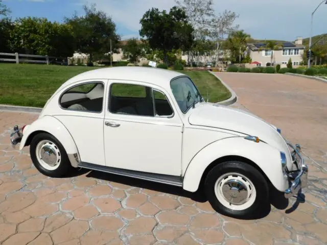 1967 volkswagen..super nice classic bug..orig protecto plate and service books