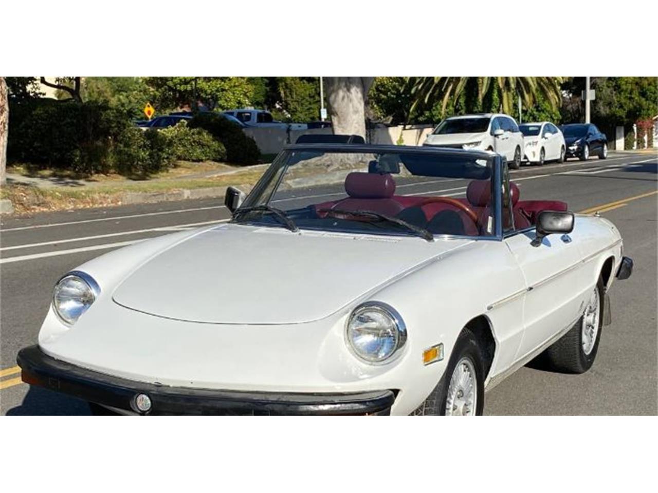 1978 alfa romeo spider