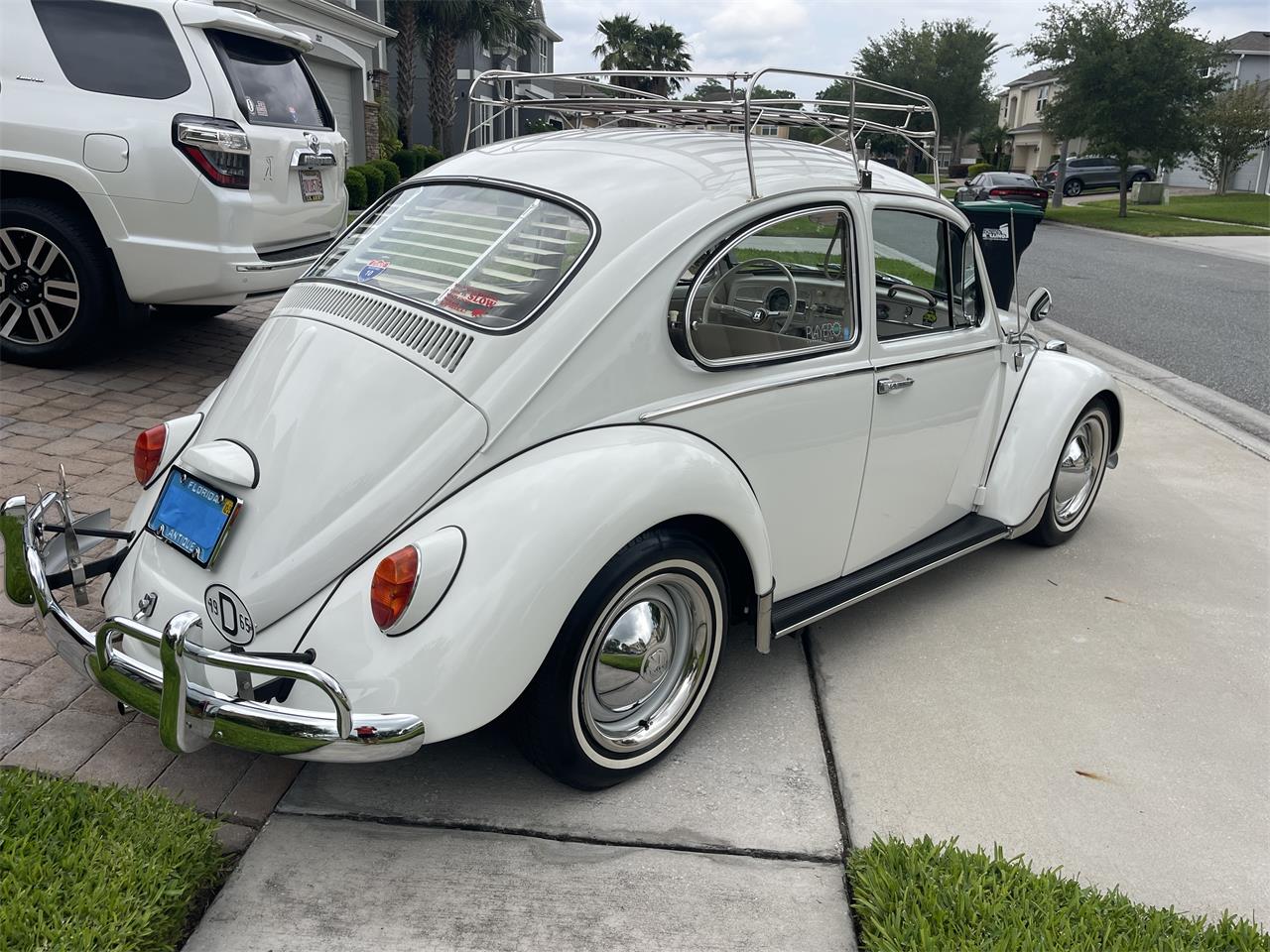 1965 volkswagen beetle