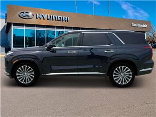 2024 Hyundai Palisade calligraphy