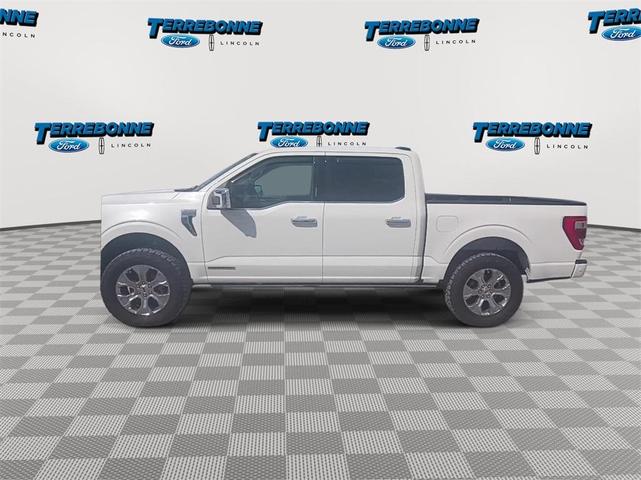 2023 ford f-150 platinum