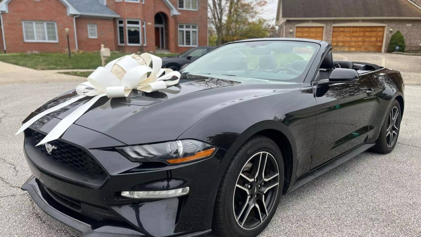 2019 ford mustang ecoboost