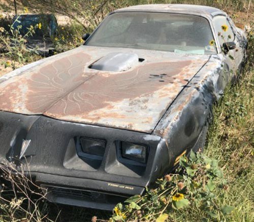 1979 pontiac trans am for sale in texas by owner
