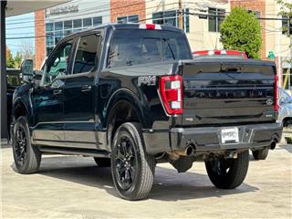 2022 Ford F-150 platinum