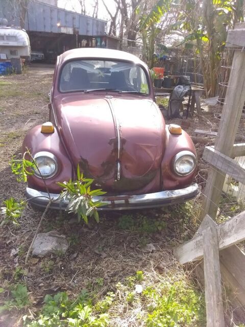 vw classic bug