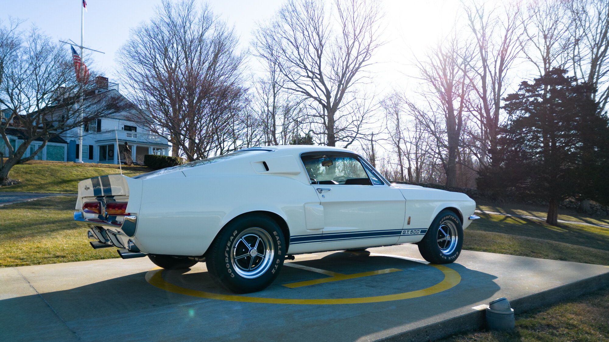 shelby mustang gt500
