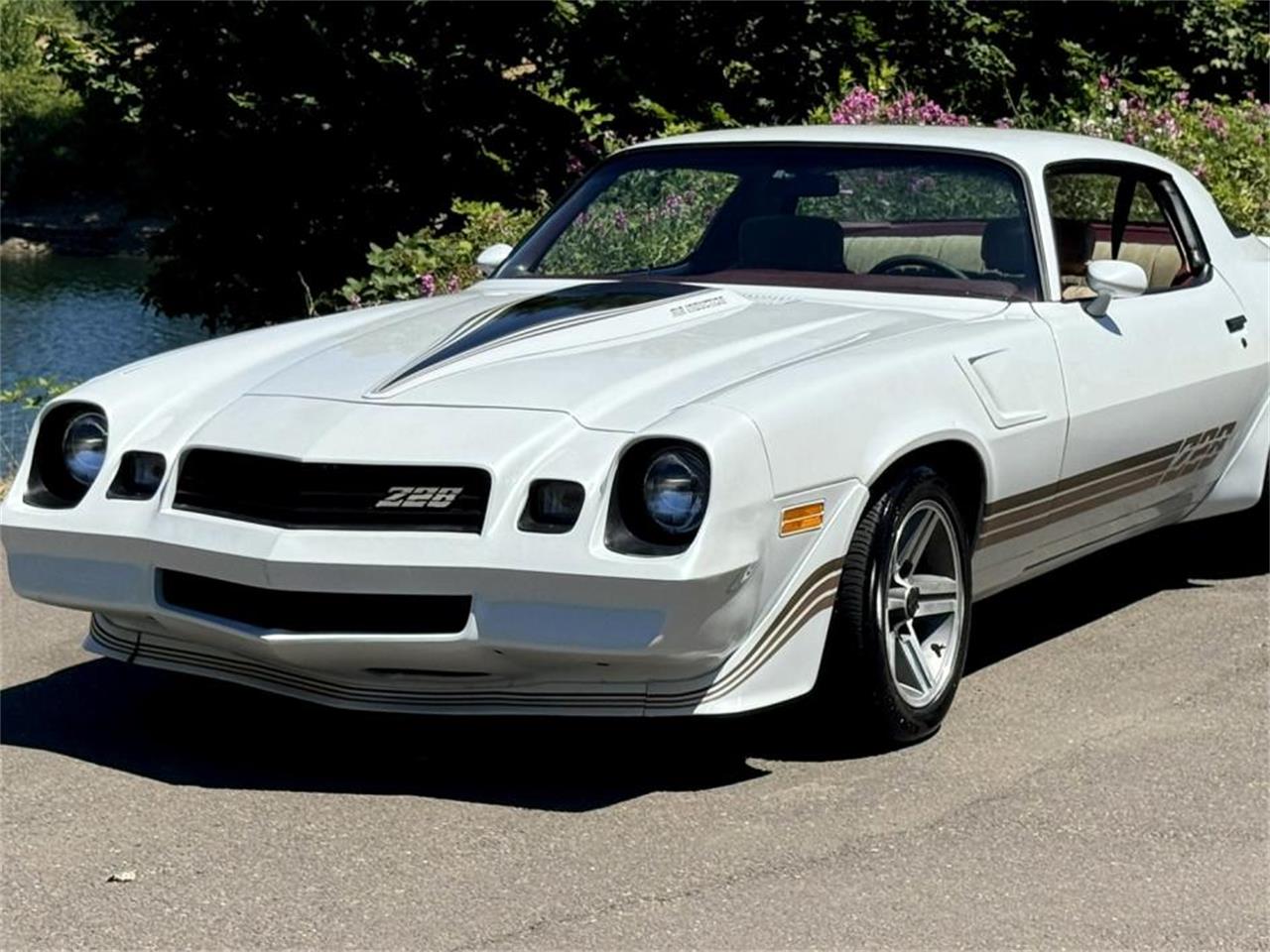 1981 chevrolet camaro z28