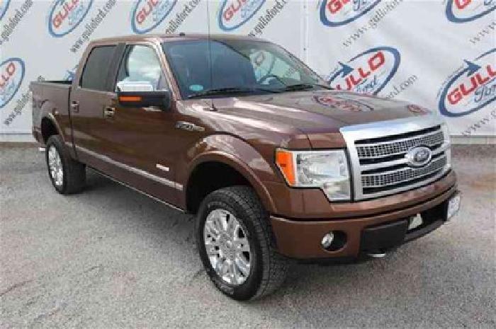 2011 ford f-150 platinum in conroe, tx