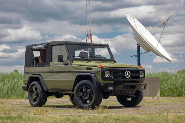 1991 mercedes-benz g-class 250gd wolf