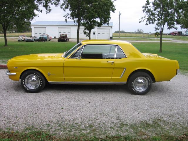 1965 ford mustang v8 (289)