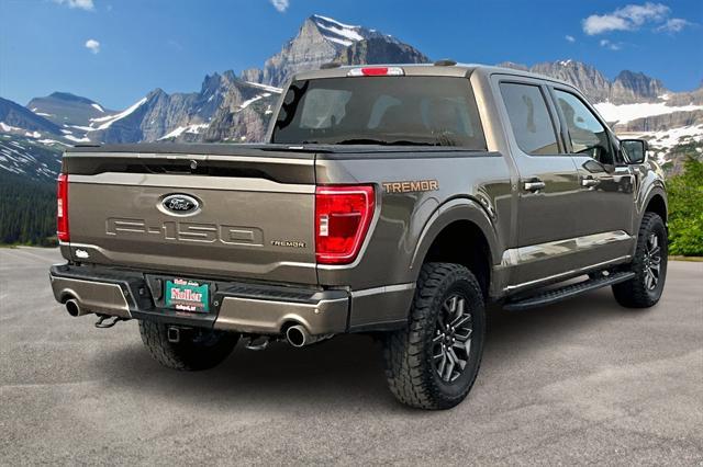 2023 ford f-150 tremor