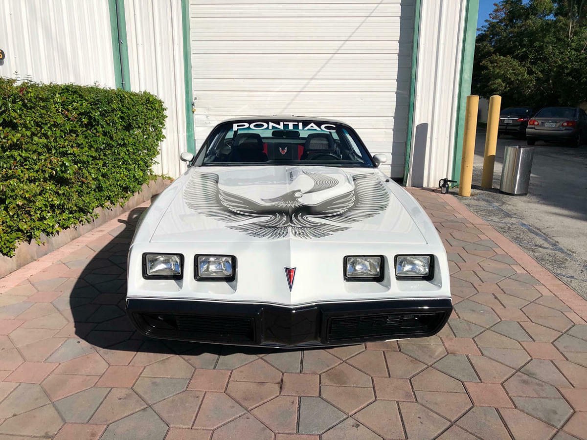 richard petty autographed 1981 firebird trans am ws6 y85 daytona pace car