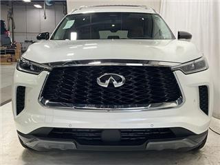 2025 Infiniti QX60 sensory