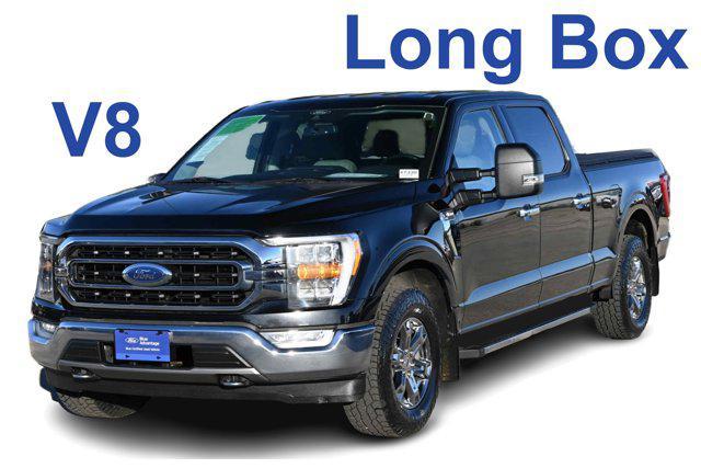 2021 ford f-150 xlt