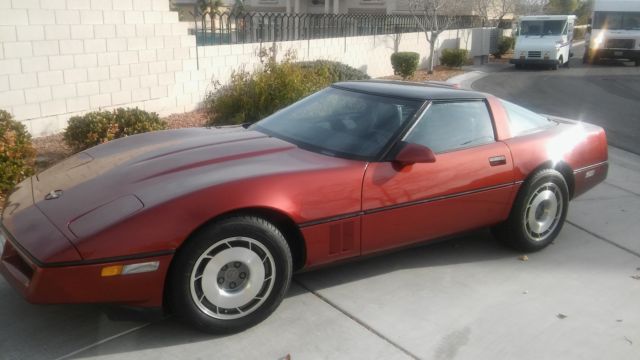 1987 corvette survivor