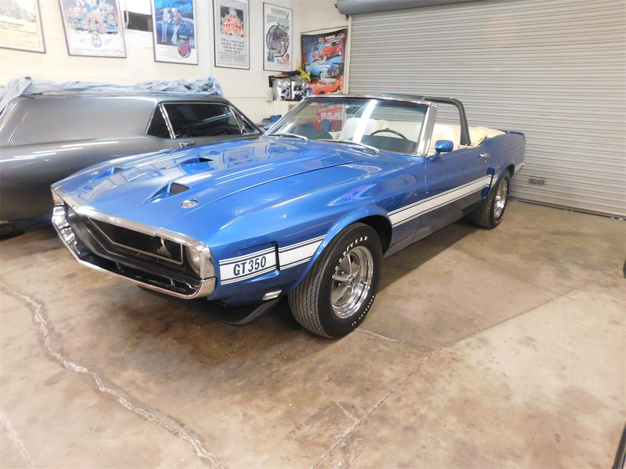 1969 shelby gt350