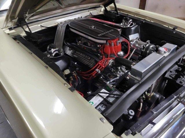 1965 ford mustang in addison, illinois