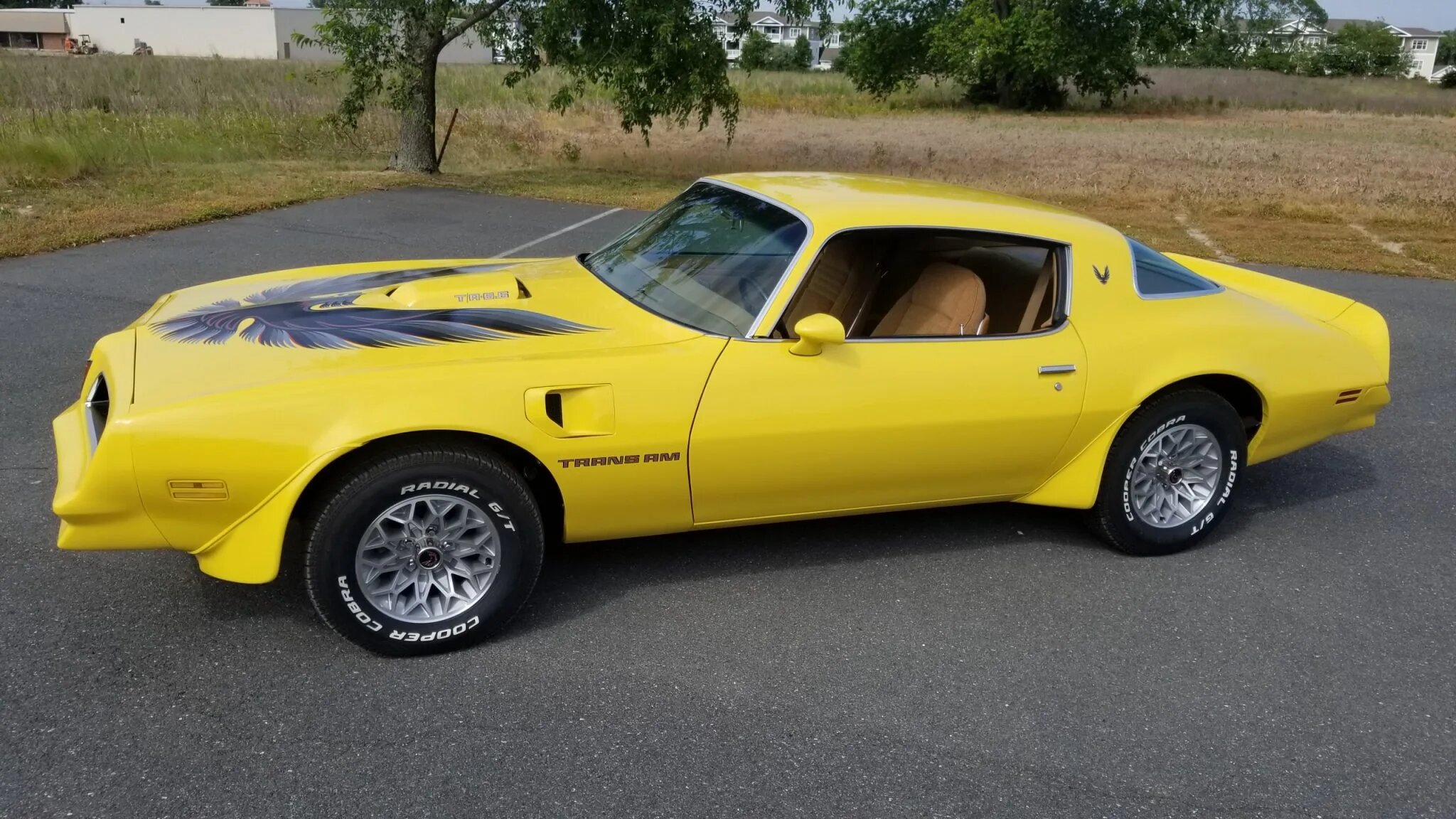 pontiac firebird trans am