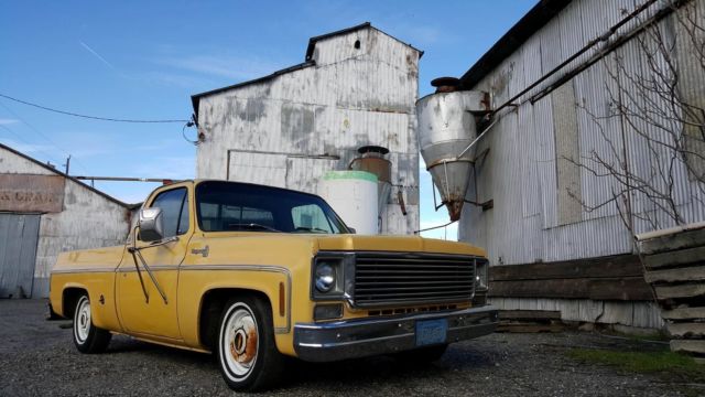 1977 chevrolet cheyenne shortbed