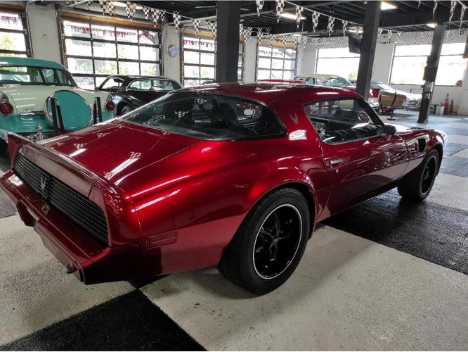 1981 pontiac firebird in buffalo, new york
