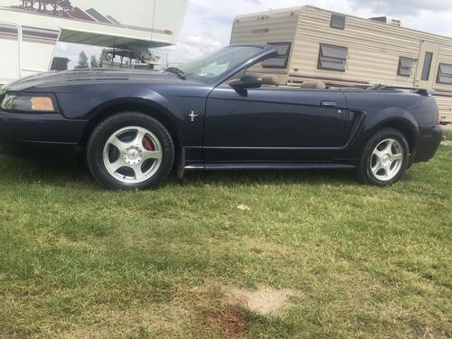 2004 v6 mustang brand new top only 70k miles. runs great just needs a good