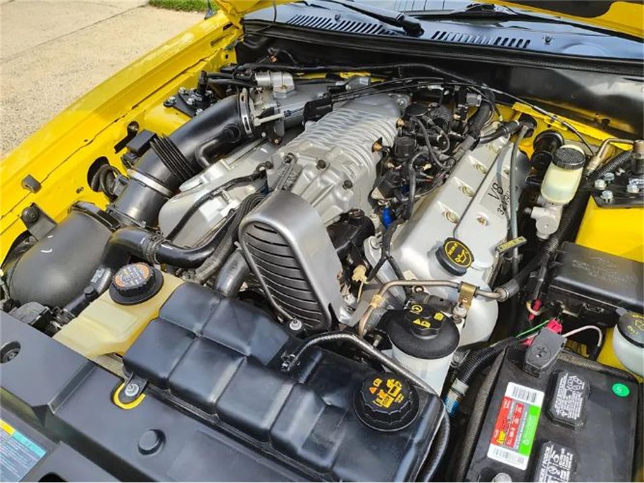 2003 ford mustang