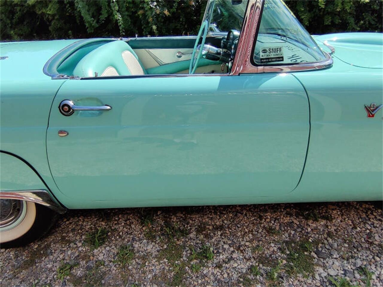 1955 ford thunderbird