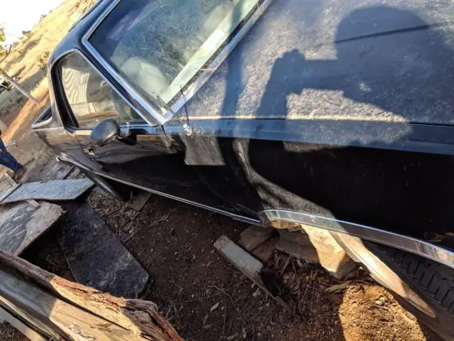 1980-1982 el camino project