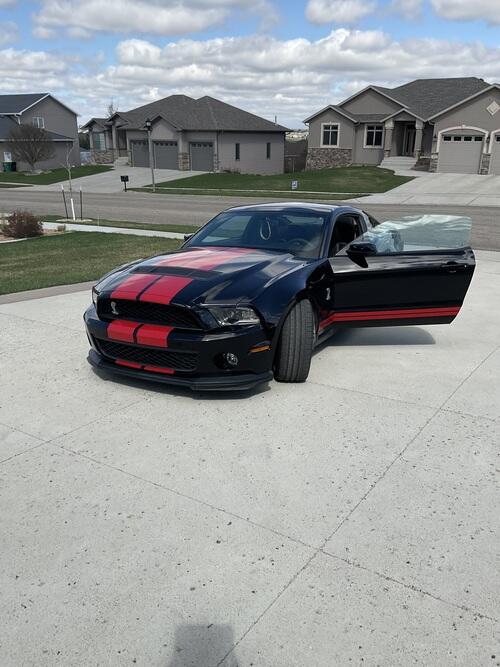 2011 ford shelby gt500 mustang