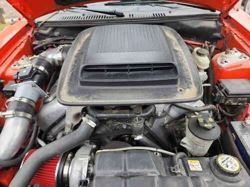 2004 ford mustang mach 1