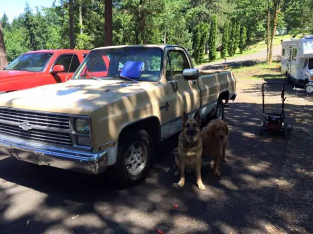 1983 chevrolet c10 standard cab pickup 2-door 5.0l