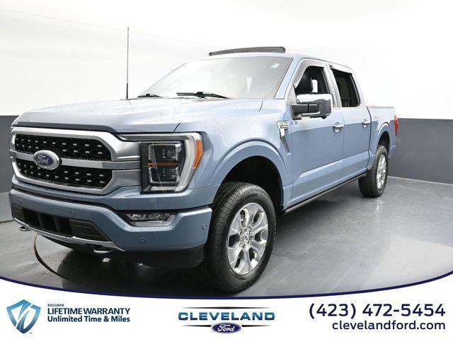 2023 ford f-150 platinum