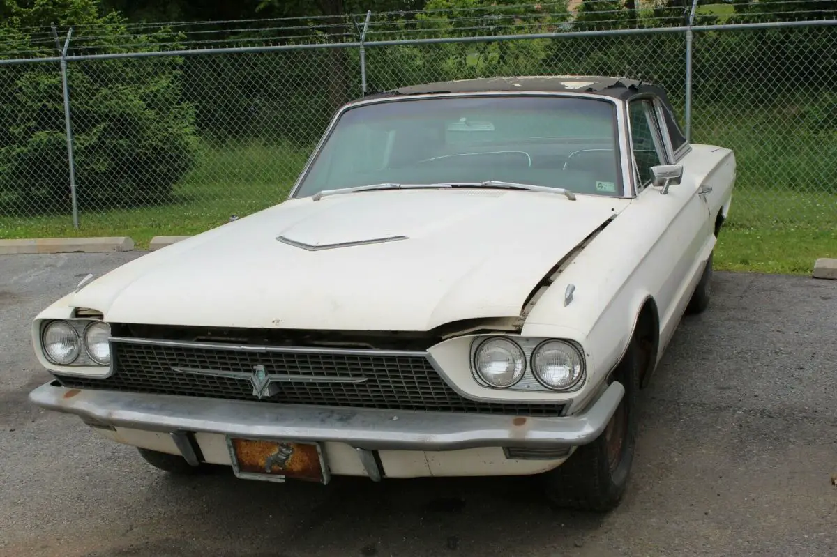 ford thunderbird barn find