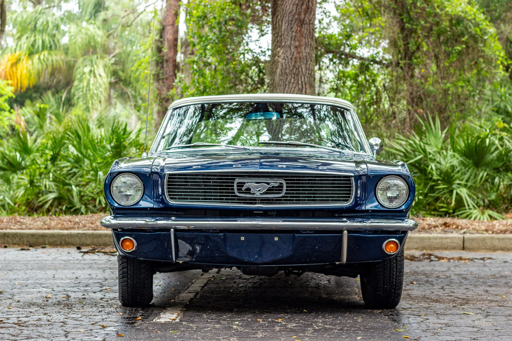 1966 ford mustang convertible 289
