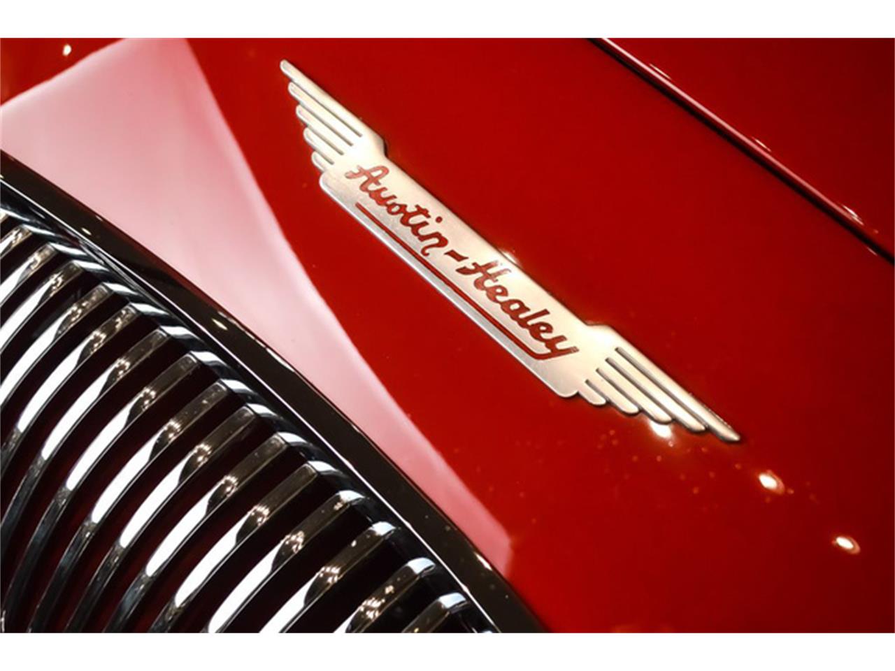 1956 austin-healey 100m