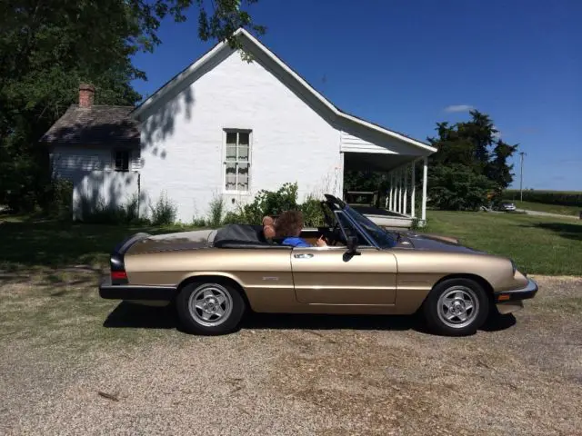 1986 alfa romeo spider veloce (european model)
