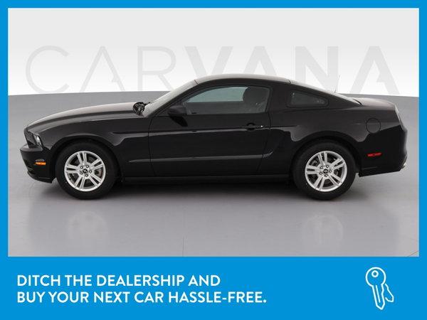 2013 ford mustang in minneapolis, minnesota