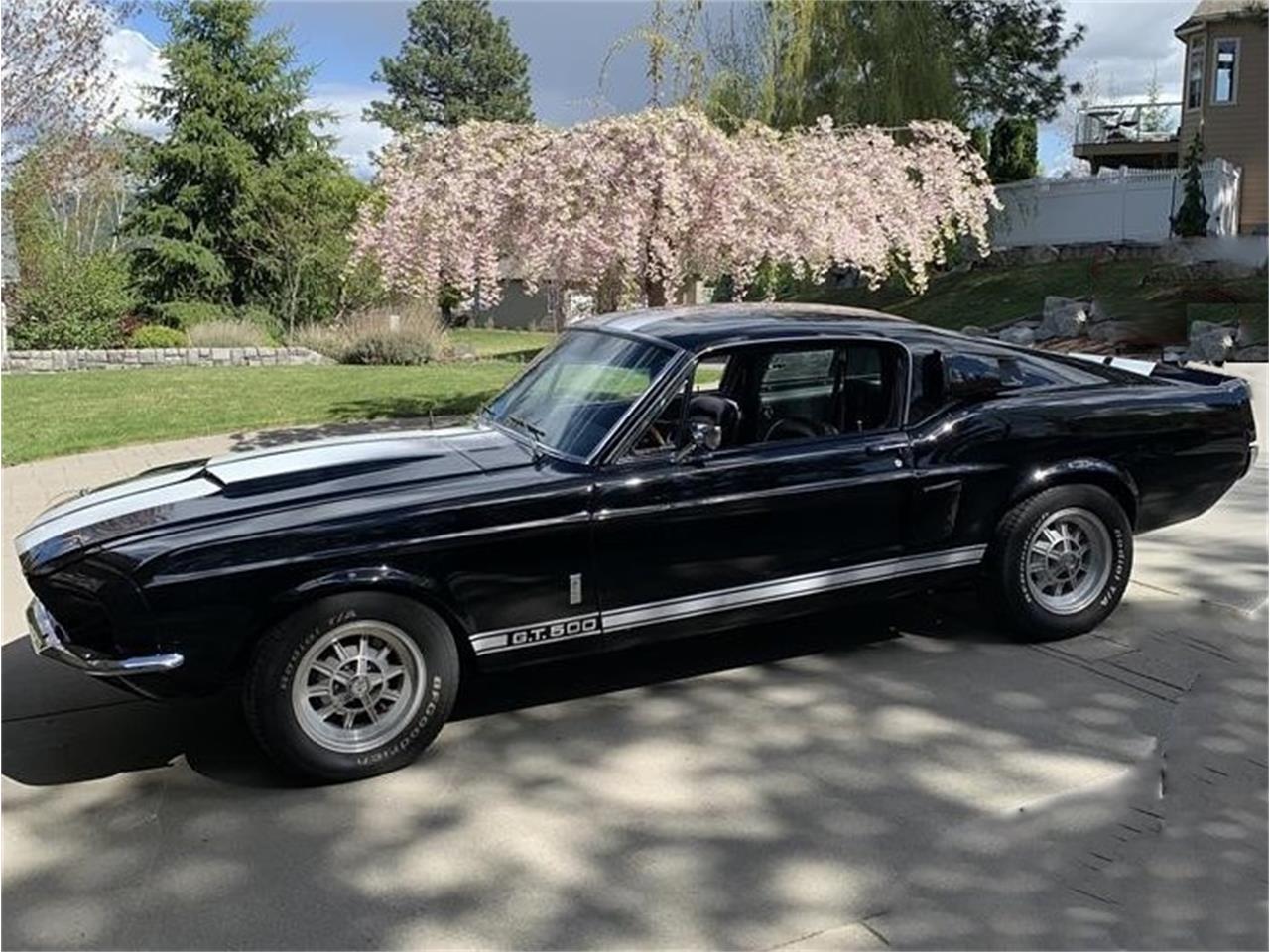 shelby gt500