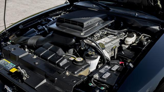 2004 ford mustang mach i