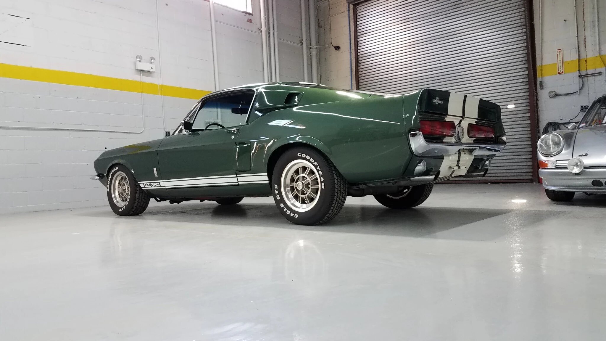 shelby mustang gt350