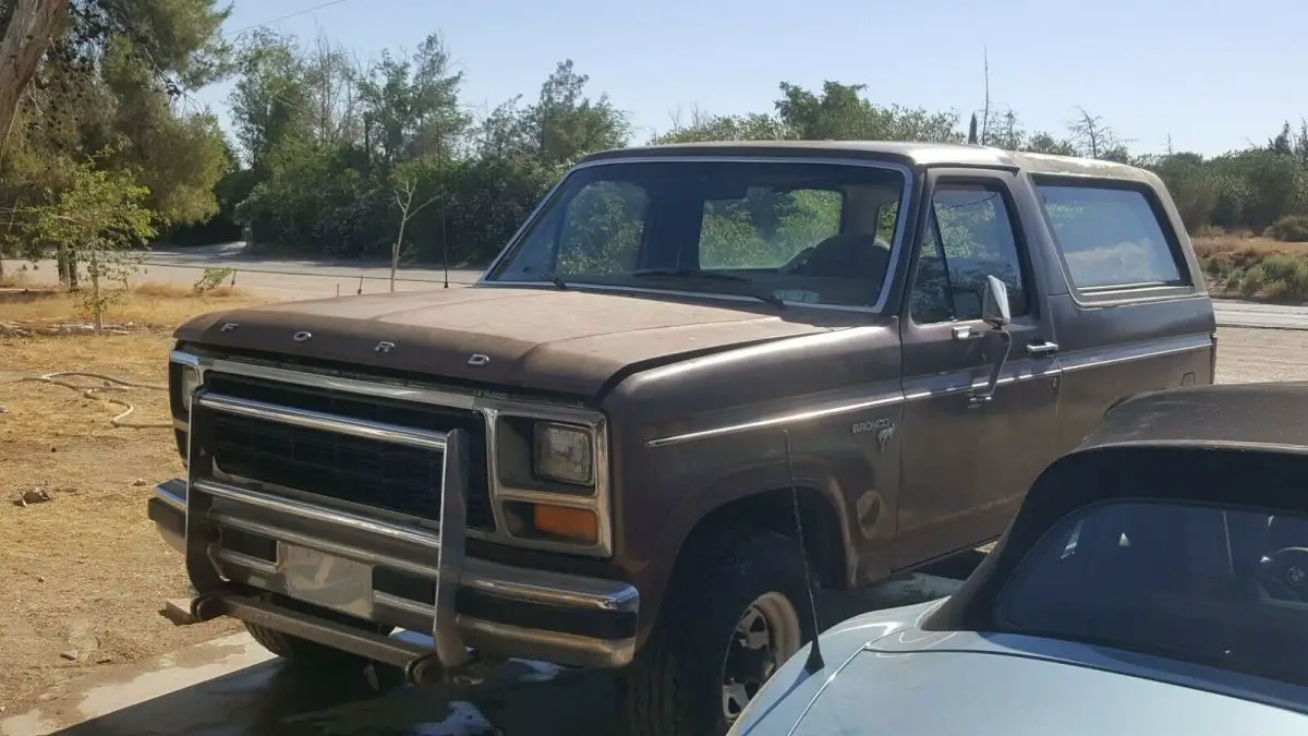 1981 ford bronco