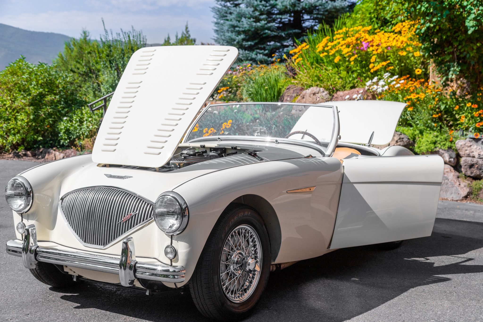 1956 austin-healey 100 bn2 roadster w/ le mans kit